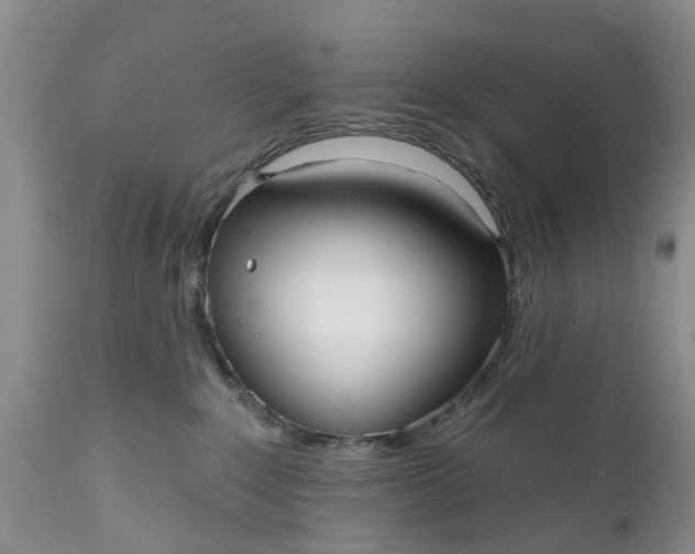 X0000111050235200907091641