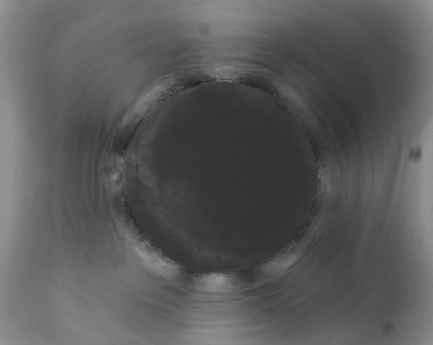 X0000111050237200907091641