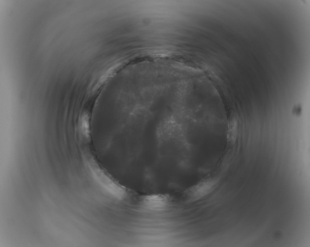 X0000111050238200907091641