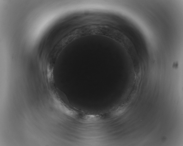 X0000111050239200907091641