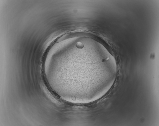 X0000111050242200907091640