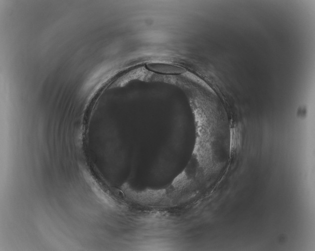 X0000111050243200907091640