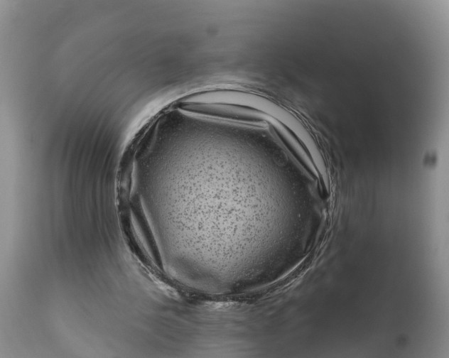 X0000111050244200907091640