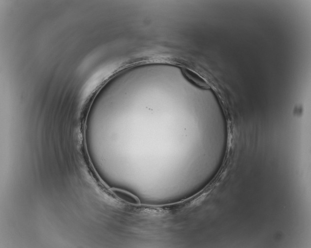 X0000111050245200907091640