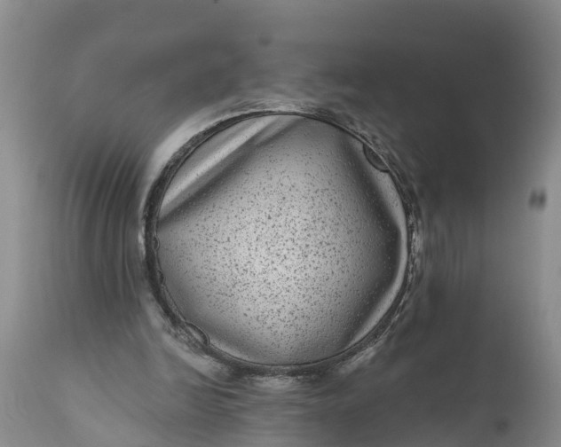 X0000111050246200907091640