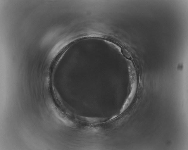 X0000111050247200907091640