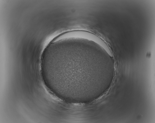 X0000111050248200907091640