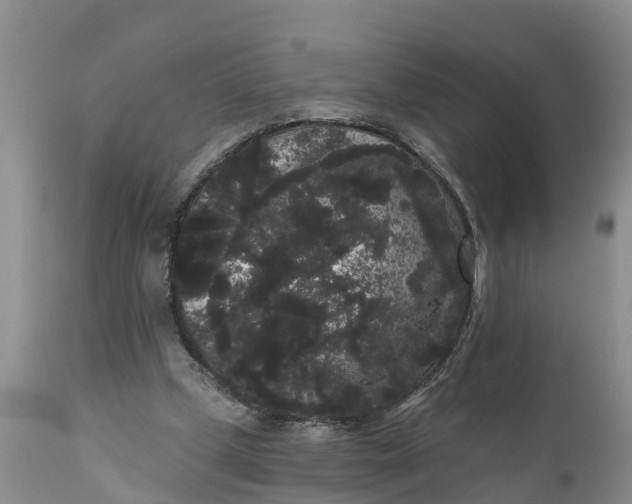 X0000111050249200907091640