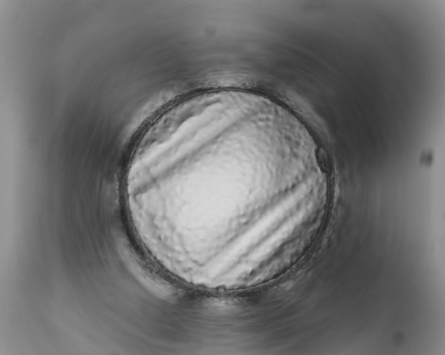 X0000111050250200907091640