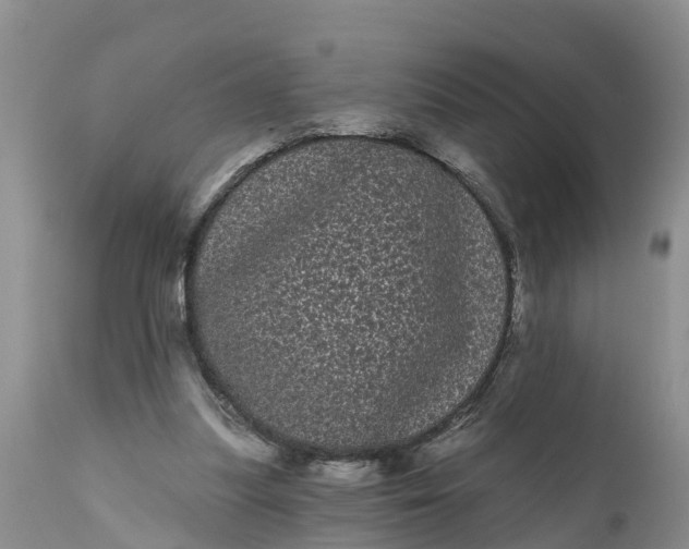 X0000111050251200907091640