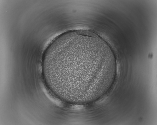 X0000111050252200907091640