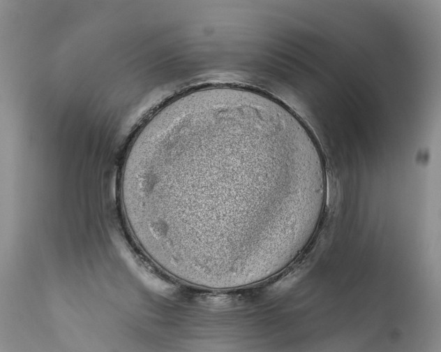 X0000111050253200907091640