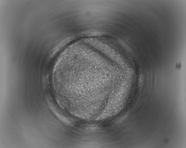 X0000111050254200907091640