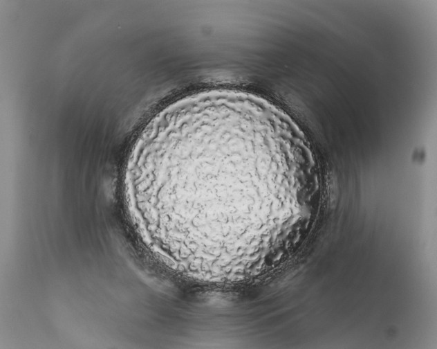 X0000111050255200907091640