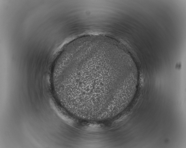 X0000111050256200907091640