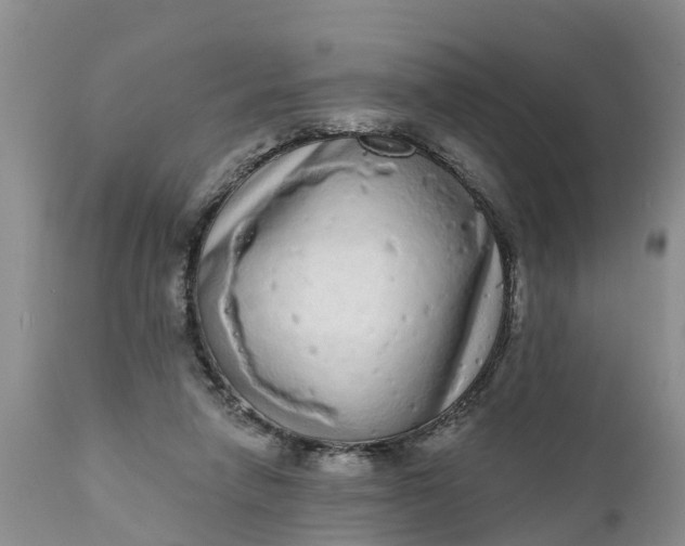 X0000111050258200907091640