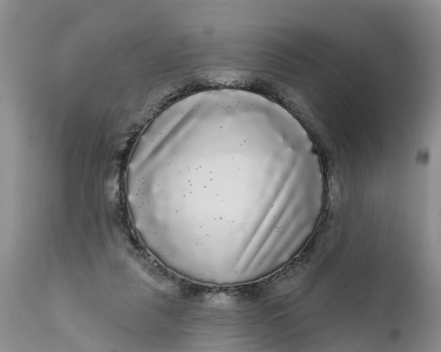 X0000111050259200907091640