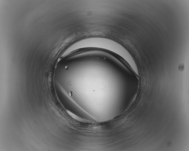 X0000111050260200907091640