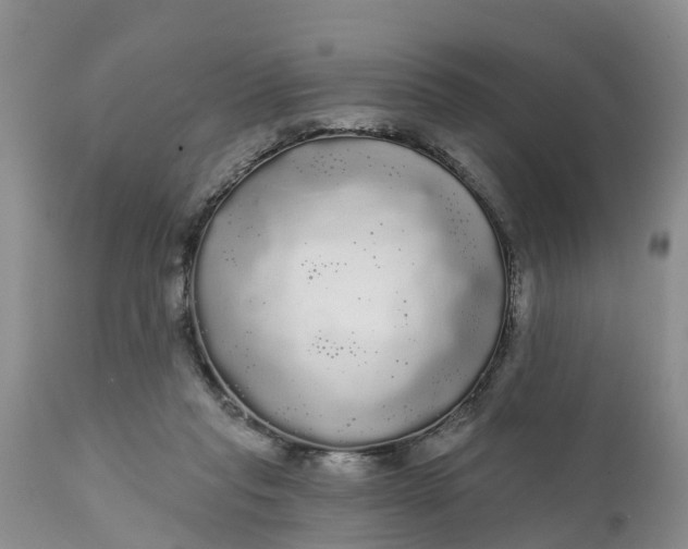 X0000111050261200907091640