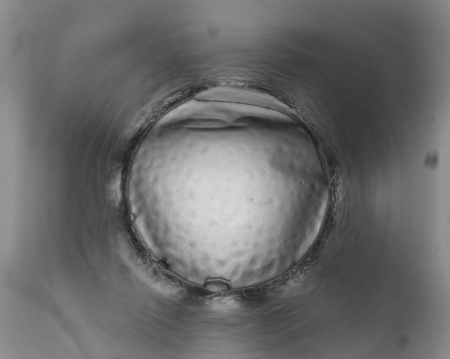 X0000111050262200907091640