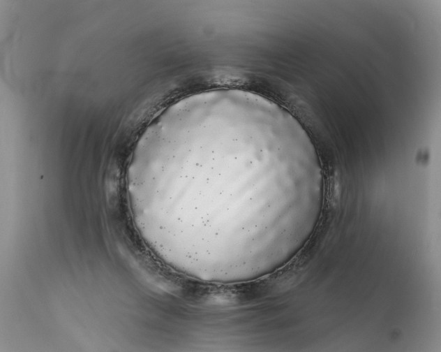 X0000111050263200907091640