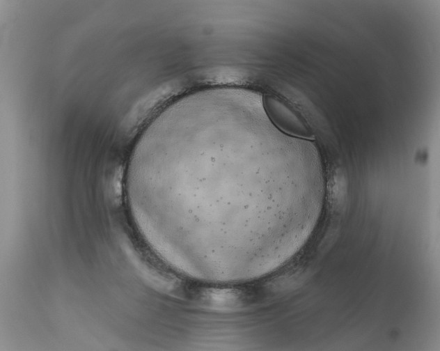 X0000111050264200907091641