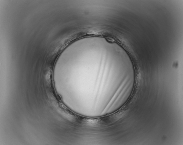 X0000111050265200907091641