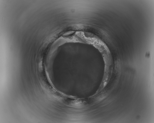 X0000111050267200907091641