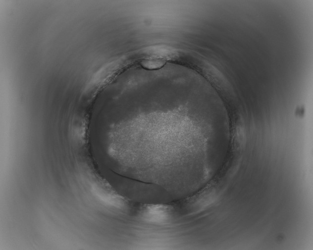 X0000111050268200907091641