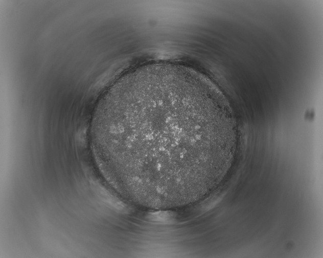 X0000111050269200907091641