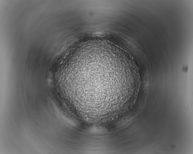 X0000111050270200907091641