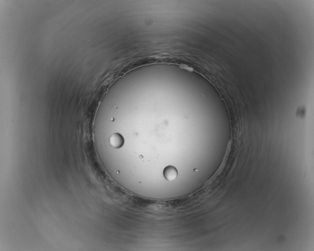 X0000111050272200907091641