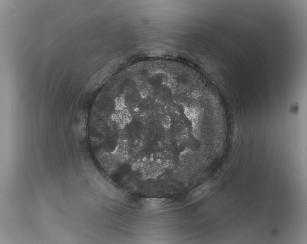 X0000111050273200907091641