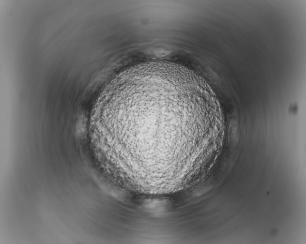 X0000111050274200907091641