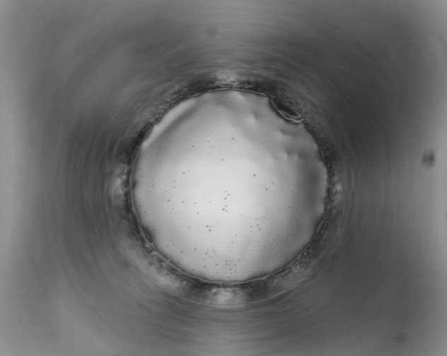 X0000111050275200907091641