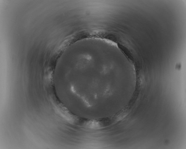 X0000111050276200907091641