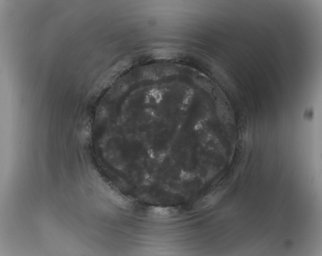 X0000111050277200907091641