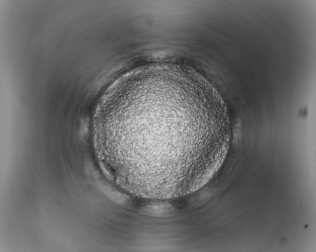 X0000111050278200907091641