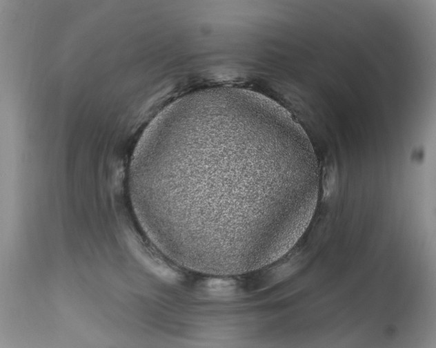 X0000111050279200907091641