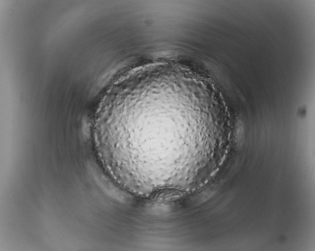 X0000111050282200907091641