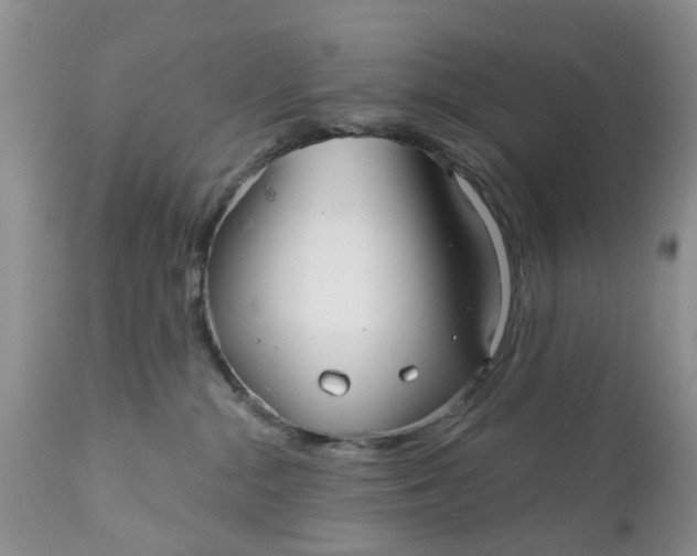 X0000111050284200907091641