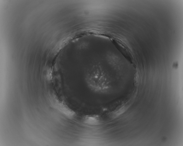 X0000111050285200907091641