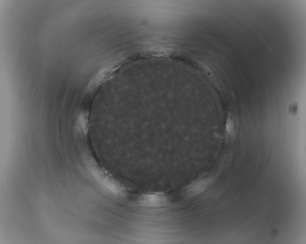 X0000111050286200907091641