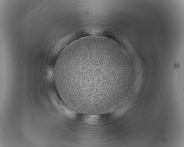 X0000111050288200907091641