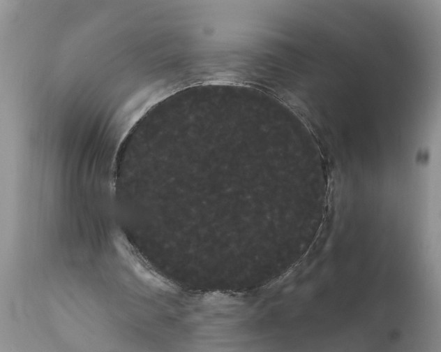 X0000111050290200907091640