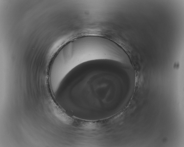 X0000111050293200907091640