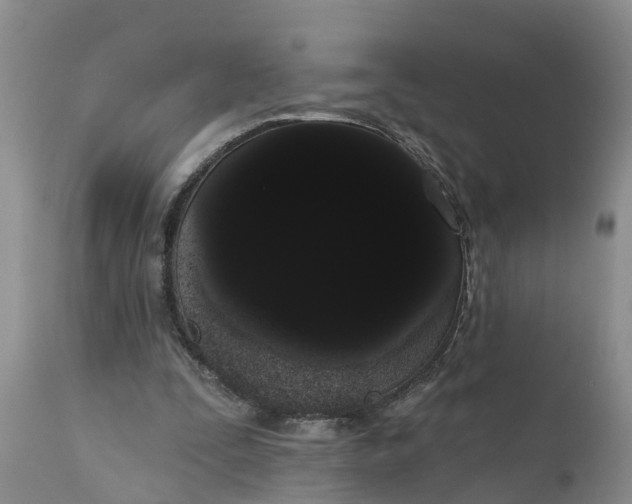 X0000111050295200907091640