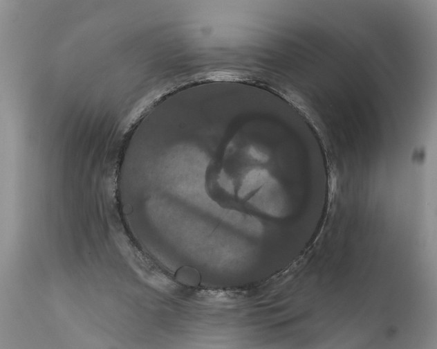 X0000111050297200907091640