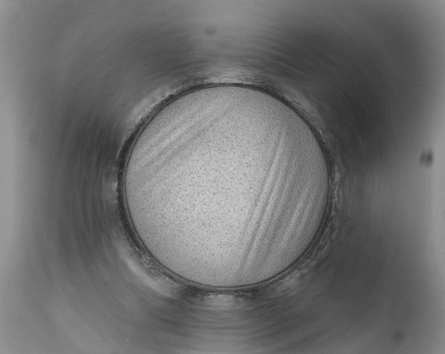 X0000111050298200907091640