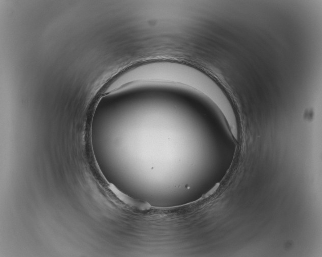 X0000111050299200907091640